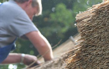 professional Clashnoir thatchers